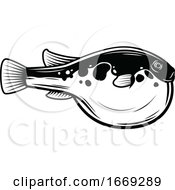 Poster, Art Print Of Blowfish