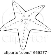 Black And White Starfish by cidepix