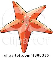 Orange Starfish by cidepix