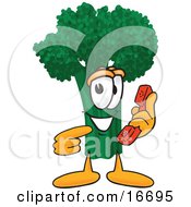 Clipart Picture Of A Green Broccoli Food Mascot Cartoon Character Holding A Telephone by Mascot Junction