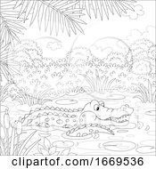 Poster, Art Print Of Alligator In A Pond