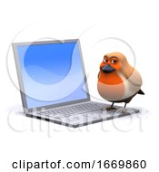 3d Robin On A Laptop by Steve Young