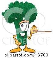 Green Broccoli Food Mascot Cartoon Character Holding A Pointer Stick