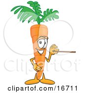 Orange Carrot Mascot Cartoon Character Holding A Pointer Stick
