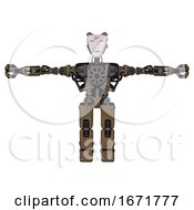 Poster, Art Print Of Bot Containing Humanoid Face Mask And Red Slashes War Paint And Heavy Upper Chest And No Chest Plating And Prototype Exoplate Legs Old Copper T-Pose
