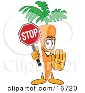 Clipart Picture Of An Orange Carrot Mascot Cartoon Character Holding A Stop Sign by Toons4Biz