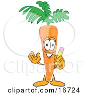 Orange Carrot Mascot Cartoon Character Holding A Yellow Pencil With An Eraser Tip