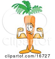 Clipart Picture Of An Orange Carrot Mascot Cartoon Character Flexing His Bicep Arm Muscles To Show His Strength by Toons4Biz