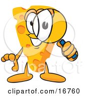 Wedge Of Orange Swiss Cheese Mascot Cartoon Character Looking Through A Magnifying Glass