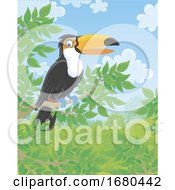 Poster, Art Print Of Toucan Bird