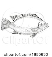 Poster, Art Print Of Tilapia Fish Cartoon Retro Drawing