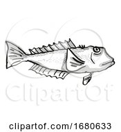 Poster, Art Print Of Blue Cod New Zealand Fish Cartoon Retro Drawing