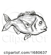Poster, Art Print Of Snapper New Zealand Fish Cartoon Retro Drawing