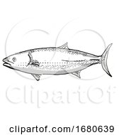 Kingfish New Zealand Fish Cartoon Retro Drawing by patrimonio