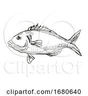 Poster, Art Print Of Tarakihi New Zealand Fish Cartoon Retro Drawing