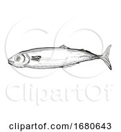 Poster, Art Print Of Koheru New Zealand Fish Cartoon Retro Drawing