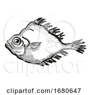 Smooth Oreo New Zealand Fish Cartoon Retro Drawing
