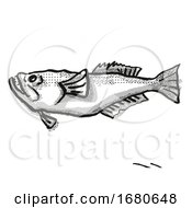Poster, Art Print Of Stargazer New Zealand Fish Cartoon Retro Drawing