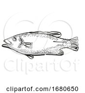 Poster, Art Print Of Hapuku New Zealand Fish Cartoon Retro Drawing