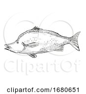 Poster, Art Print Of Giant Boarfish New Zealand Fish Cartoon Retro Drawing