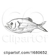 Poster, Art Print Of Golden Snapper New Zealand Fish Cartoon Retro Drawing