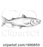 New Zealand King Salmon Fish Cartoon Retro Drawing