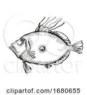 King Dory New Zealand Fish Cartoon Retro Drawing