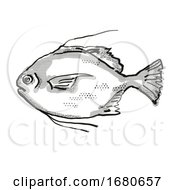 Poster, Art Print Of Threadfin Scat Australian Fish Cartoon Retro Drawing