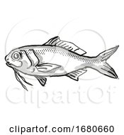 Poster, Art Print Of Berndts Beardfish Australian Fish Cartoon Retro Drawing