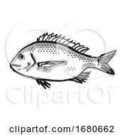 Poster, Art Print Of Silver Bream Australian Fish Cartoon Retro Drawing