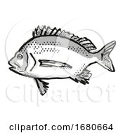Poster, Art Print Of Pikey Bream Australian Fish Cartoon Retro Drawing