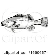 Poster, Art Print Of Trout Cod Australian Fish Cartoon Retro Drawing