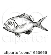 Poster, Art Print Of Yelloweye Redfish Australian Fish Cartoon Retro Drawing