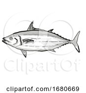 Skipjack Tuna Australian Fish Cartoon Retro Drawing