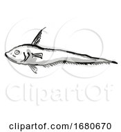 Poster, Art Print Of Smallpore Whiptail Australian Fish Cartoon Retro Drawing