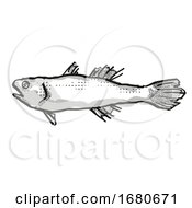Poster, Art Print Of Estuary Cardinalfish Australian Fish Cartoon Retro Drawing