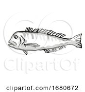 Poster, Art Print Of Australian Barred Tilefish Fish Cartoon Retro Drawing