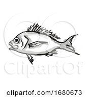 Poster, Art Print Of Western Orange Perch Australian Fish Cartoon Retro Drawing