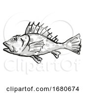 Poster, Art Print Of Western Scorpionfish Australian Fish Cartoon Retro Drawing
