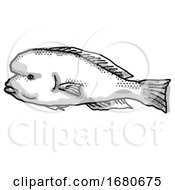 Poster, Art Print Of Doubleheader Australian Fish Cartoon Retro Drawing