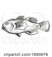 Poster, Art Print Of Plain Coralgoby Australian Fish Cartoon Retro Drawing