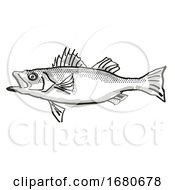 Japanese Seaperch Fish Cartoon Retro Drawing by patrimonio