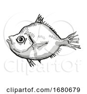 Poster, Art Print Of Malayan Deepsea Boarfish Australian Fish Cartoon Retro Drawing