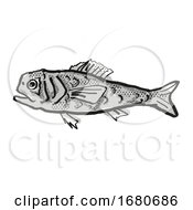 Poster, Art Print Of Shoulderspine Bigscale Australian Fish Cartoon Retro Drawing