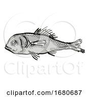 Poster, Art Print Of Eyebrow Bigscale Australian Fish Cartoon Retro Drawing