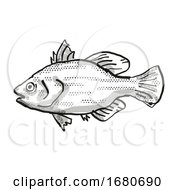 Poster, Art Print Of Spikey Bass Australian Fish Cartoon Retro Drawing