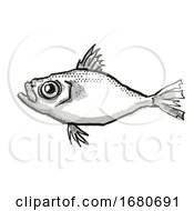 Japanese Dory Fish Cartoon Retro Drawing by patrimonio