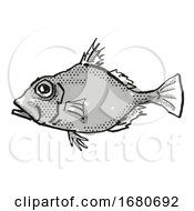 Poster, Art Print Of False Dory Australian Fish Cartoon Retro Drawing