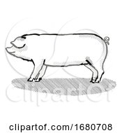 Poster, Art Print Of Welsh Pig Breed Cartoon Retro Drawing