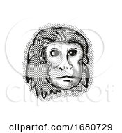 Poster, Art Print Of Golden Lion Tamarin Monkey Cartoon Retro Drawing